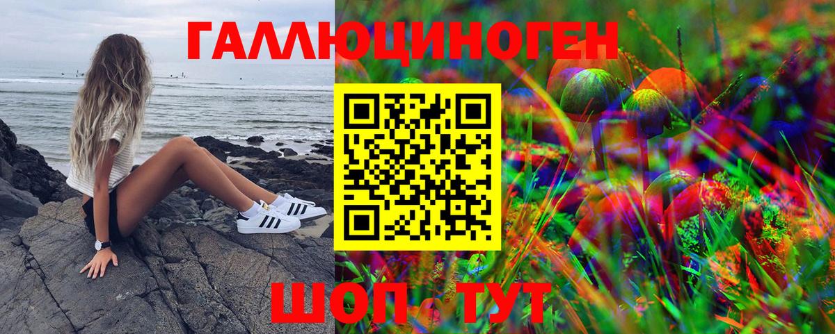 Псилоцибиновые грибы мухоморы Анжеро-Судженск