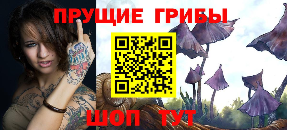 Анжеро-Судженск  Галлюциногенные грибы Magic Shrooms  Галлюциногенные грибы GOLDEN TEACHER  Вход с VPN 